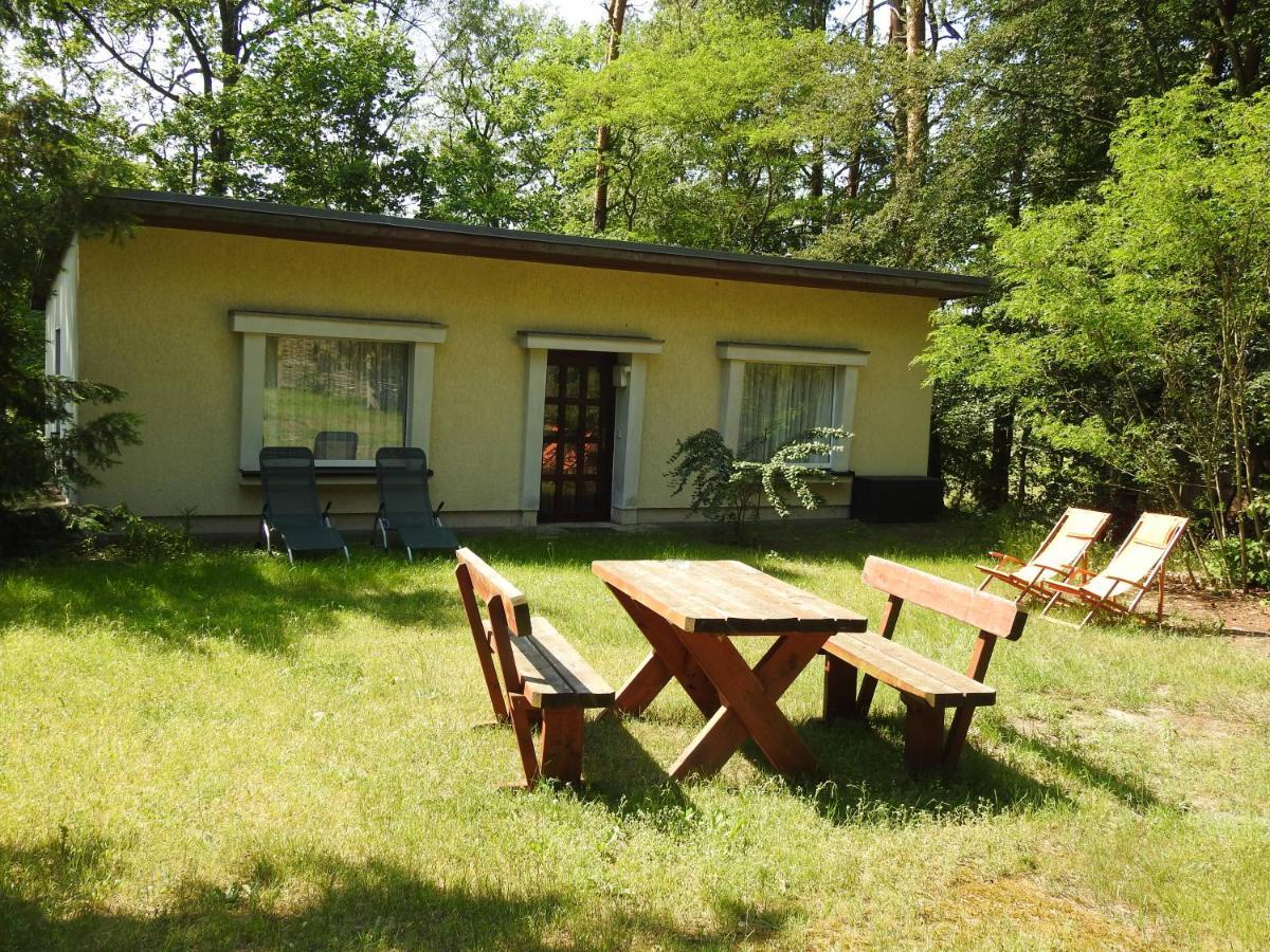 Haus Waldfrieden Apartment บาดซาโรว์ ภายนอก รูปภาพ